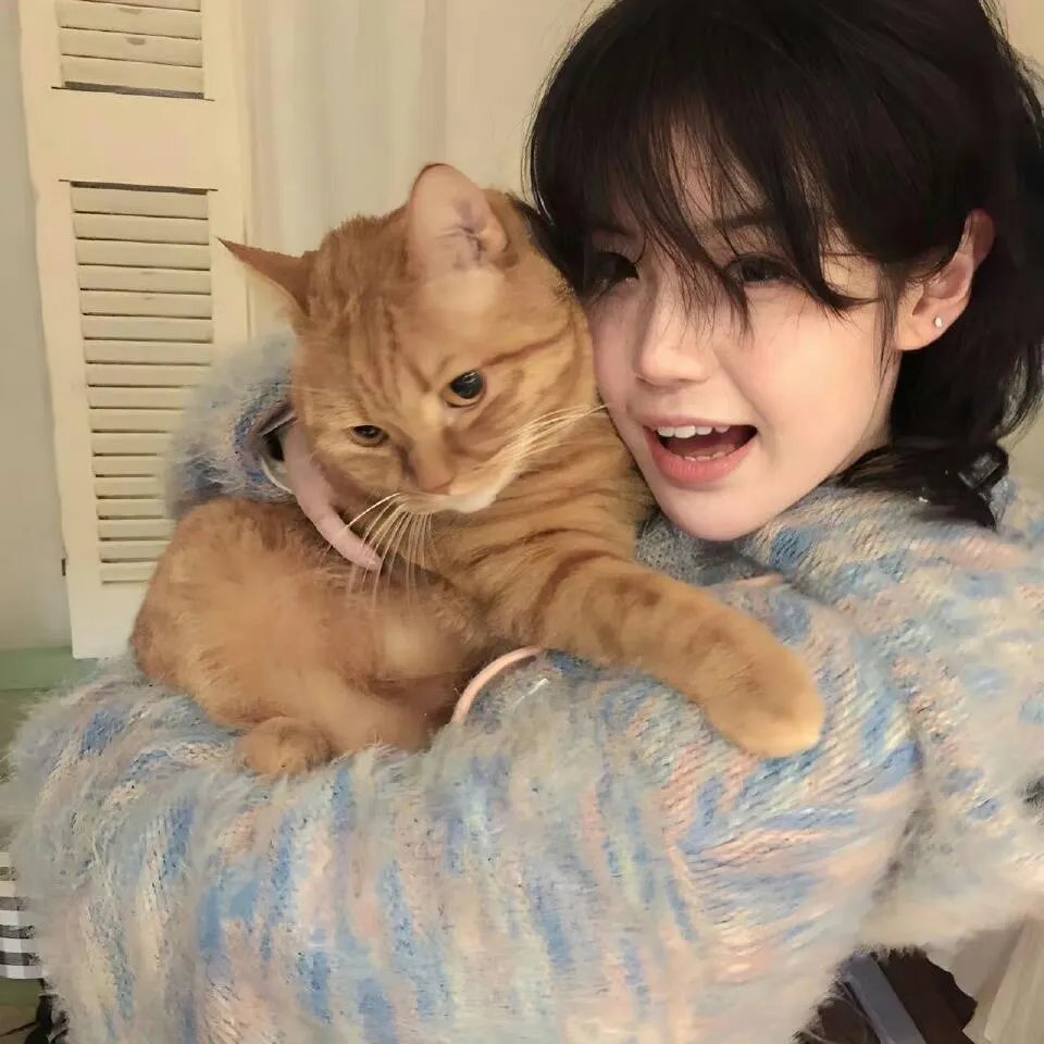 猫和老鼠 飚风天王