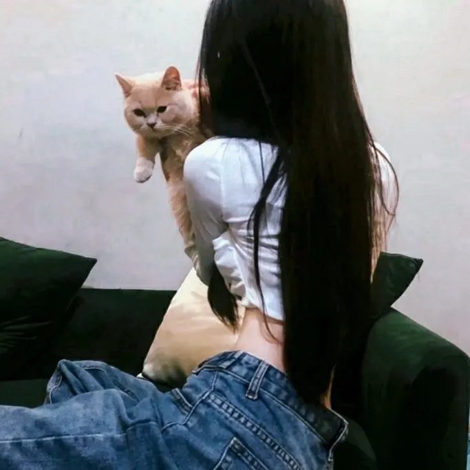 大展猴威3：宝贝智多猩